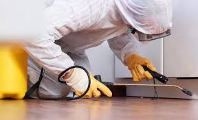 Best Termite Inspection and Treatment  in Hackensack, NJ